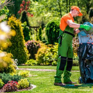 Paquete Limpieza + Jardinería (Corte de Césped)